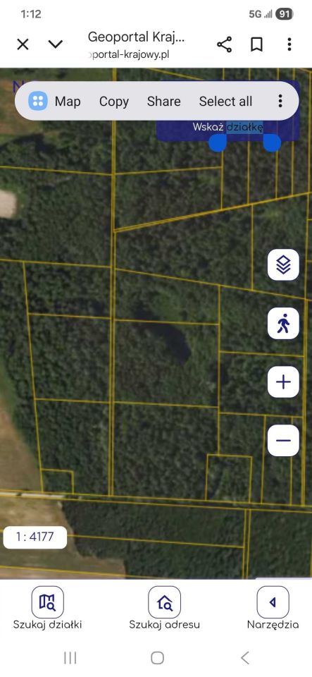 Działka leśna Jeżewo Stare