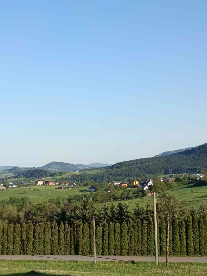 Mieszkanie 3-pokojowe Mogilno Dalnie Pola. Zdjęcie 16