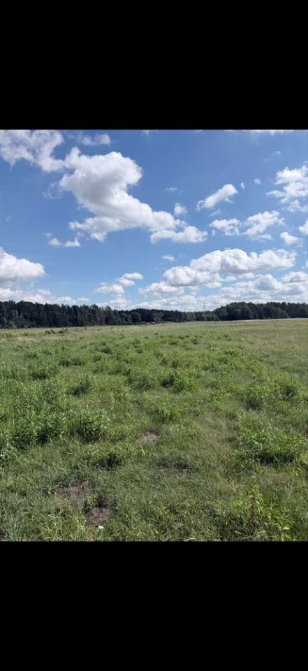 Działka Curyn. Zdjęcie 8