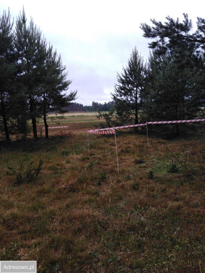 Działka rolna Siwiki. Zdjęcie 2