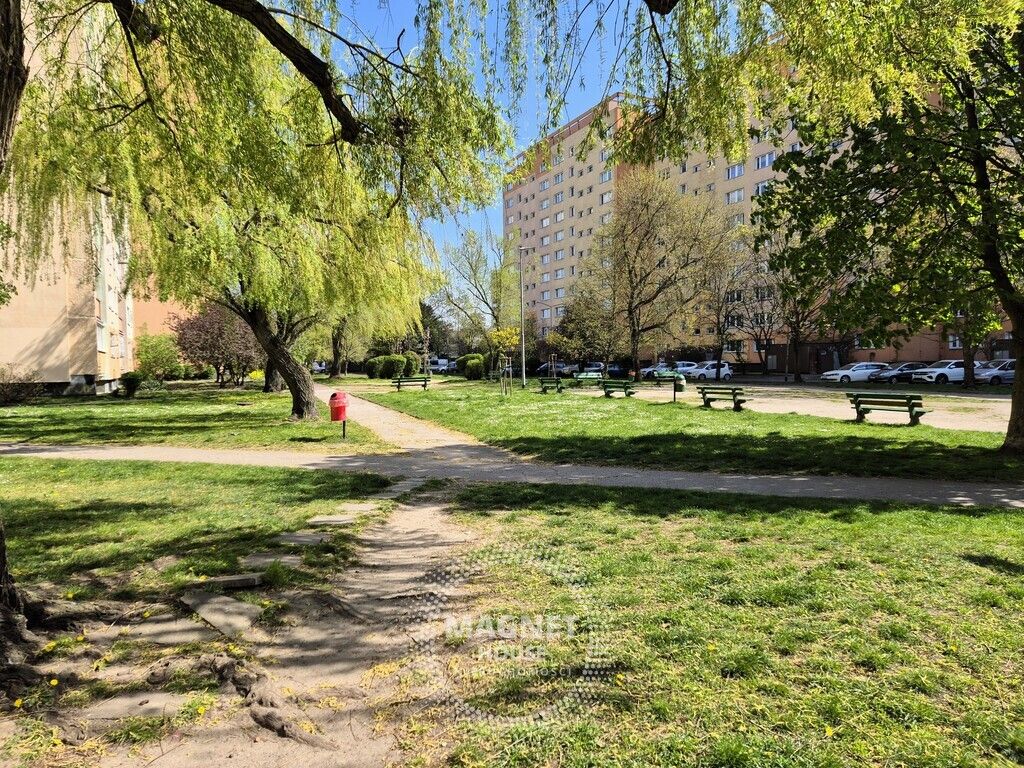 Mieszkanie 2-pokojowe Szczecin, ul. 1 Maja. Zdjęcie 17