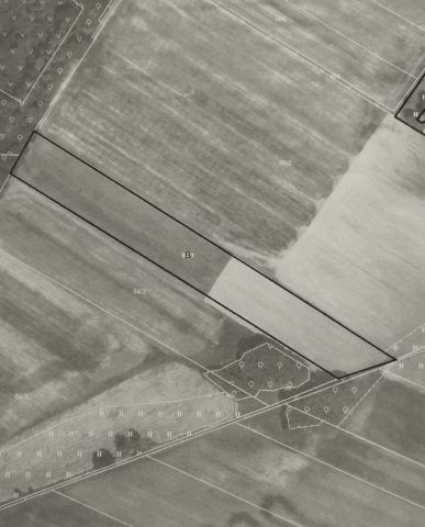 Działka rolna Popielów. Zdjęcie 1