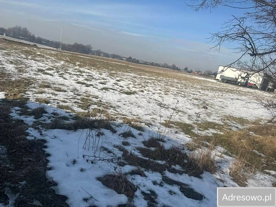 Działka budowlana Mikołów Bujaków, ul. Szkolna. Zdjęcie 8