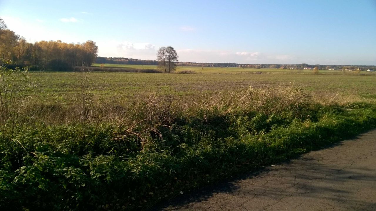 Działka budowlana Dzierżązna. Zdjęcie 5