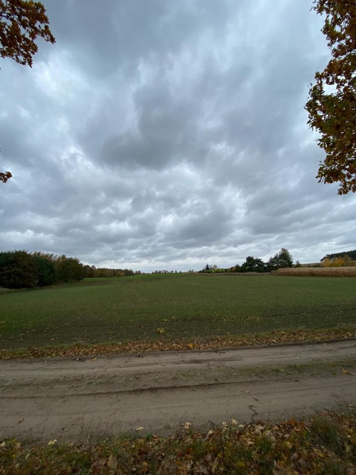 Działka rolna Jaworze. Zdjęcie 4