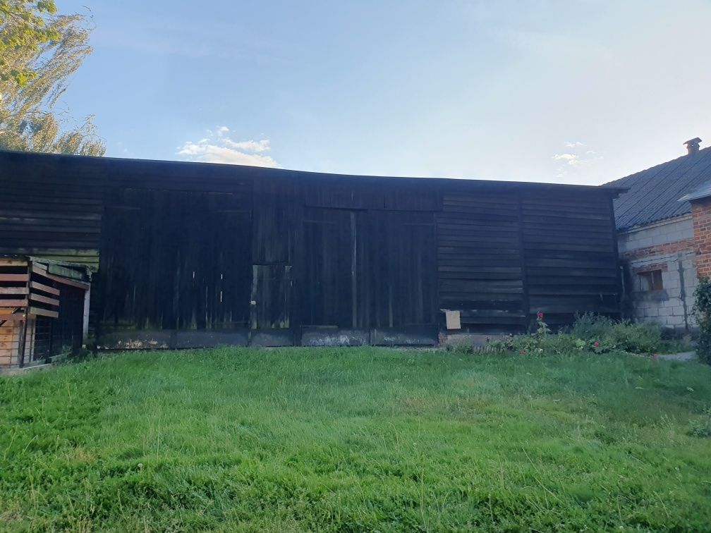 siedlisko Borek. Zdjęcie 5