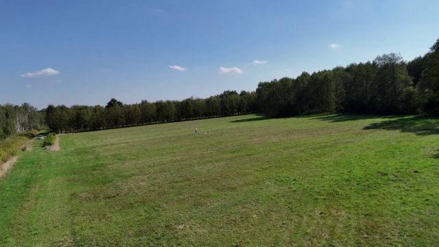 Działka rolna Celinów, ul. Różana. Zdjęcie 13