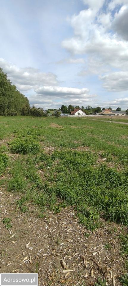 Działka budowlana Siedlec, ul. Przylesie. Zdjęcie 7