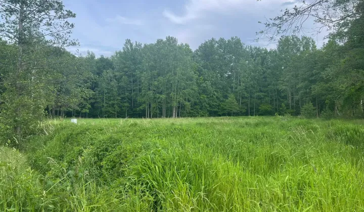 Działka budowlana Kostrzyca