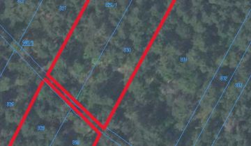 Działka leśna Nieciecz