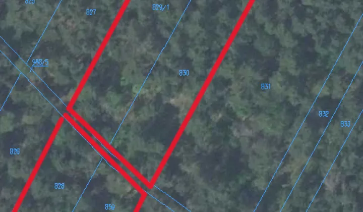 Działka leśna Nieciecz