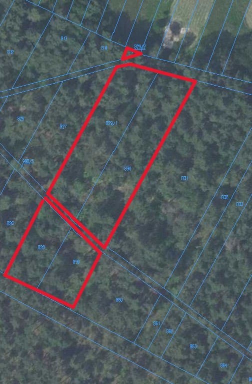 Działka leśna Nieciecz