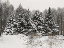 Działka budowlana Miedziana Góra. Zdjęcie 4