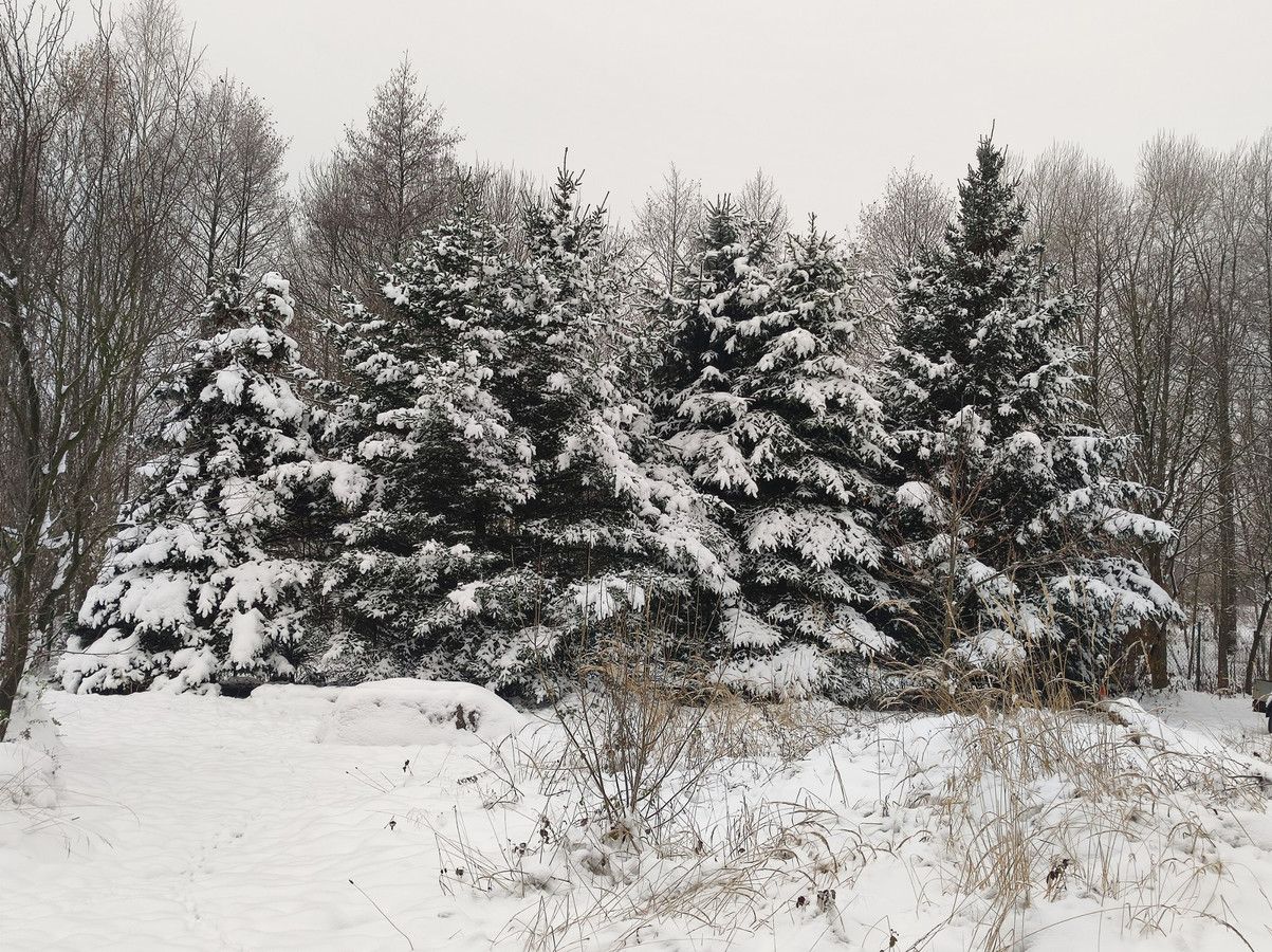 Działka budowlana Miedziana Góra. Zdjęcie 5