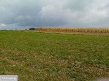 Działka siedliskowa Piotrowice Kolonia. Zdjęcie 4