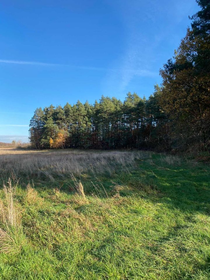 Działka budowlana Długie. Zdjęcie 3