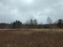 Działka budowlana Siemianówka Pręty. Zdjęcie 3