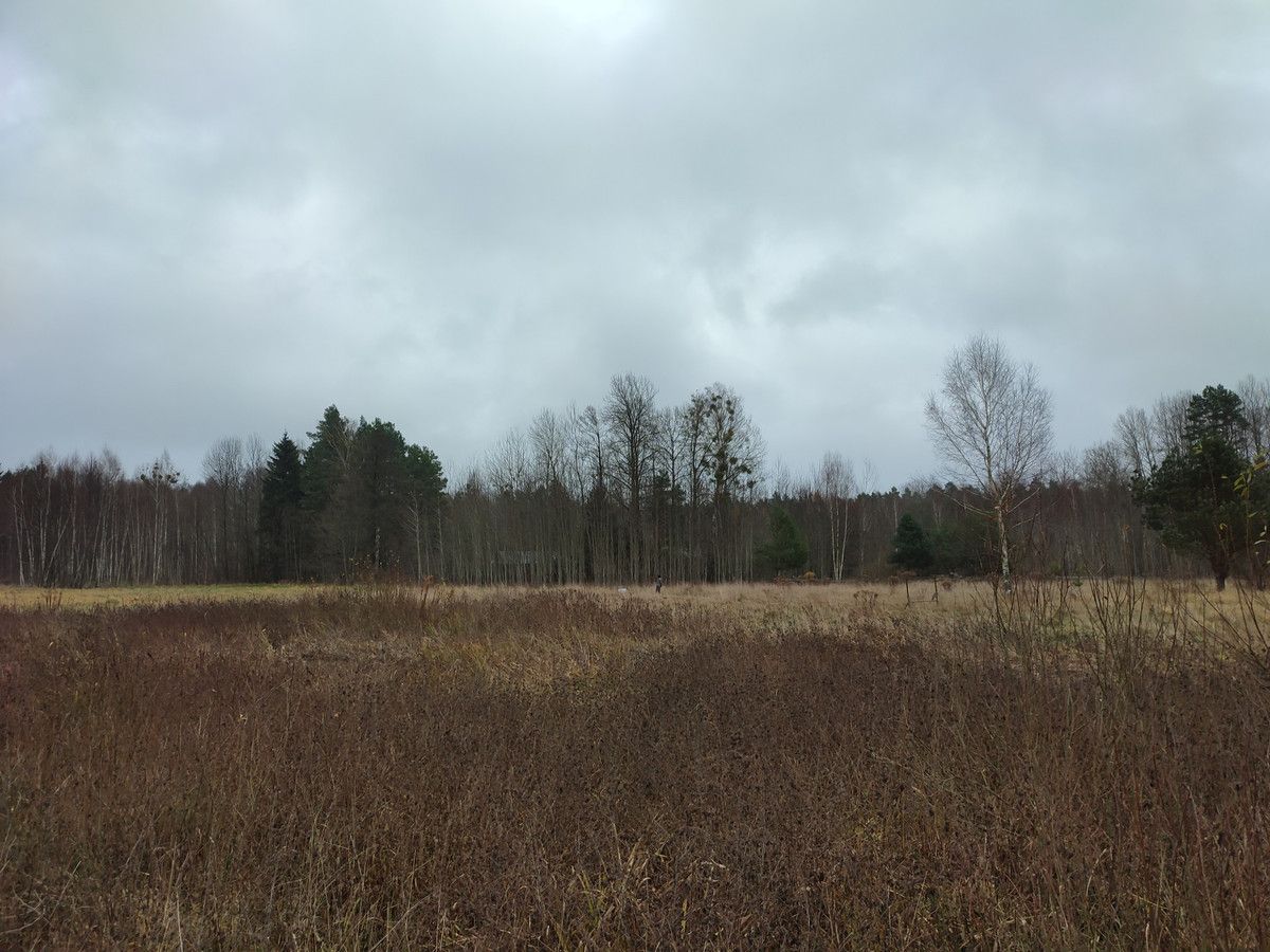 Działka budowlana Siemianówka Pręty. Zdjęcie 4