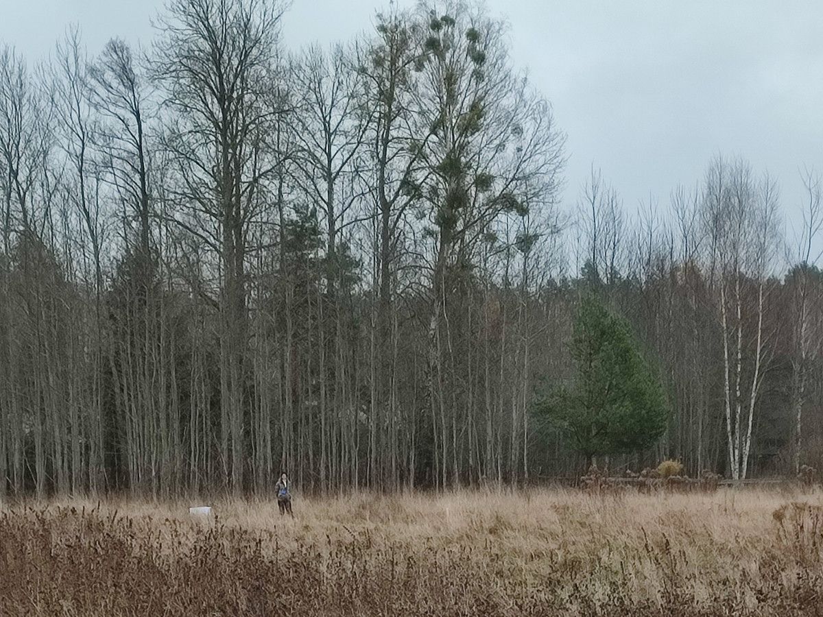 Działka budowlana Siemianówka Pręty. Zdjęcie 3
