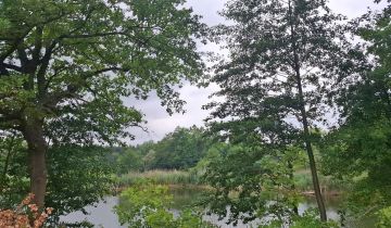 Mieszkanie 3-pokojowe Baniocha