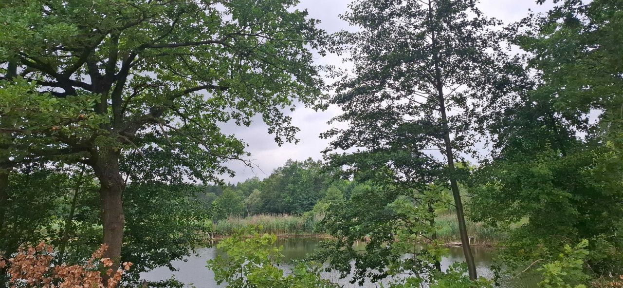 Mieszkanie 3-pokojowe Baniocha. Zdjęcie 2