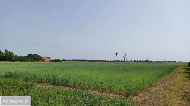 Działka rolno-budowlana Podkampinos. Zdjęcie 1