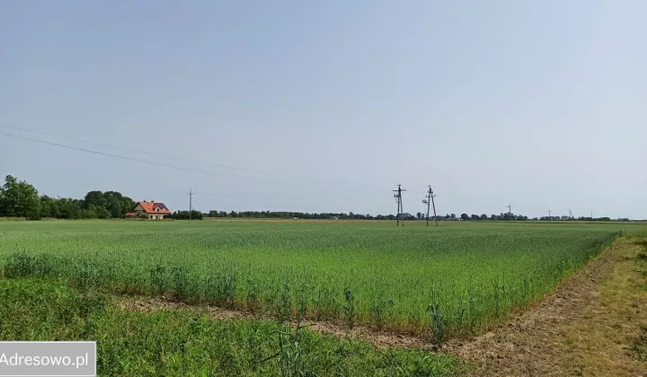 Działka rolno-budowlana Podkampinos