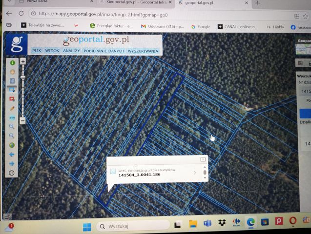 Działka leśna Zaorze, Działka leśna. Zdjęcie 1