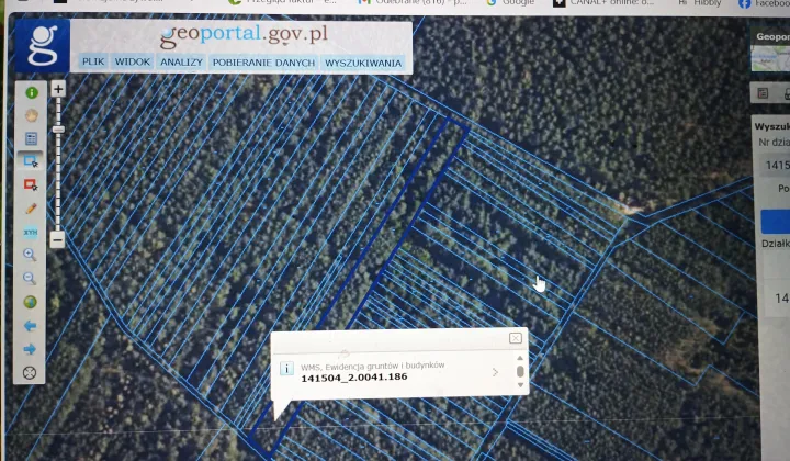 Działka leśna Zaorze, Działka leśna