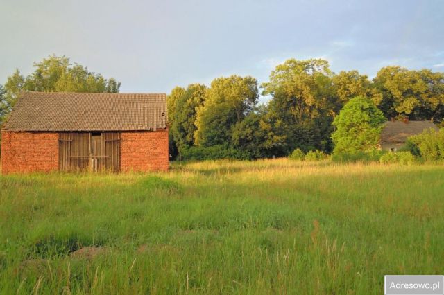 Działka rolno-budowlana Radomierowice. Zdjęcie 1