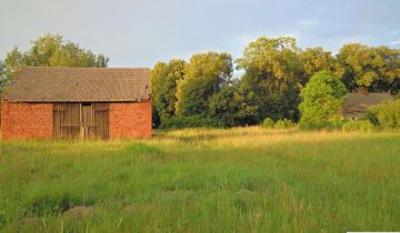 Działka rolno-budowlana Radomierowice