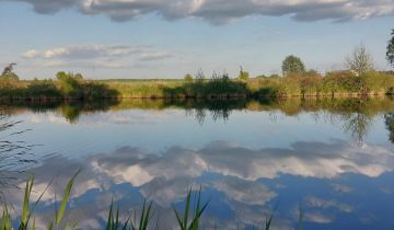 Działka rolno-budowlana Budziska, ul. Leśna