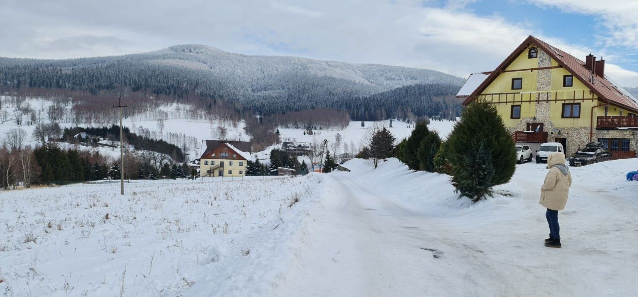 Działka inwestycyjna Bolesławów. Zdjęcie 5