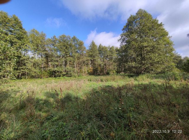 Działka budowlana Pelagia, ul. Zagłoby. Zdjęcie 1