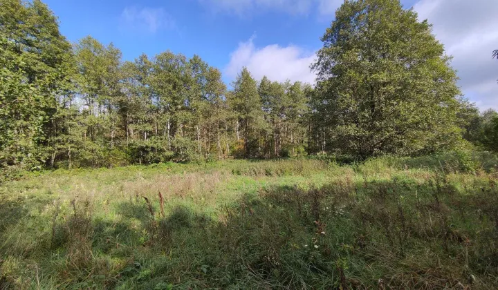 Działka budowlana Pelagia, ul. Zagłoby