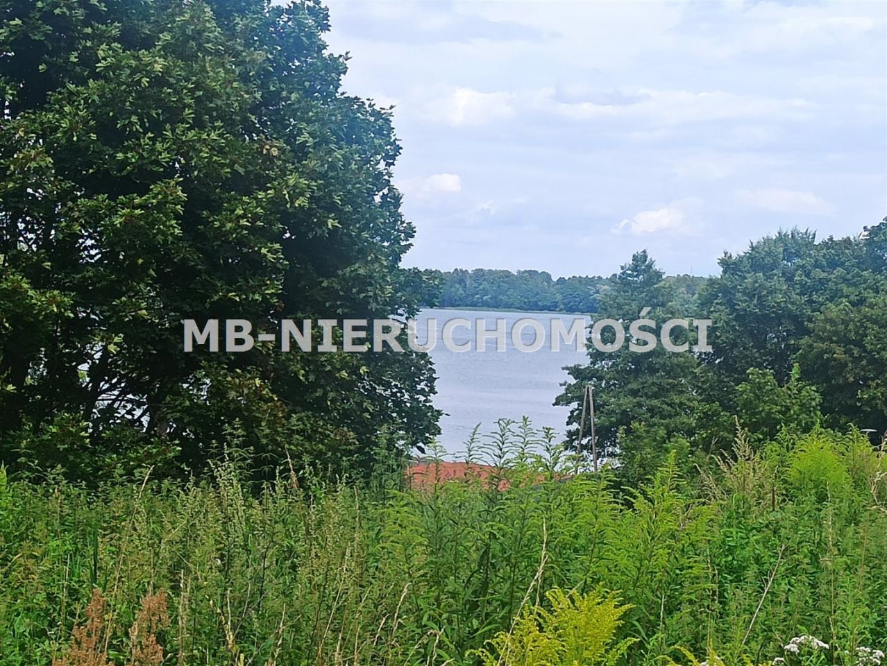 Działka rolna Ramsowo. Zdjęcie 5