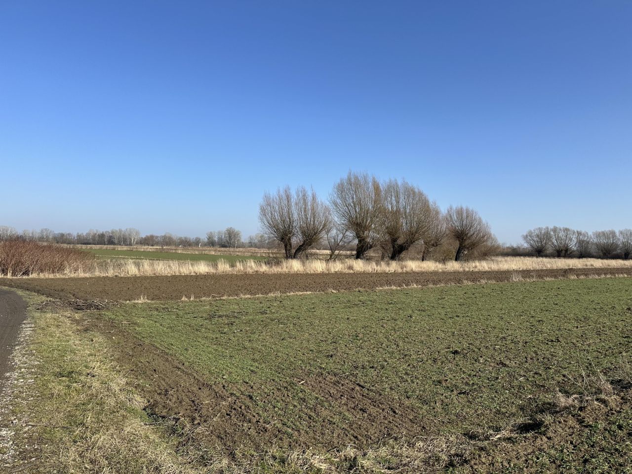 Działka rolna Łęg. Zdjęcie 3