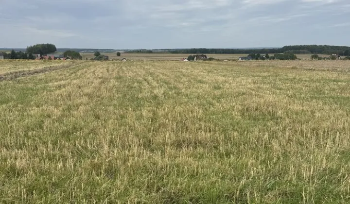 Działka rolno-budowlana Skała, ul. Marianów