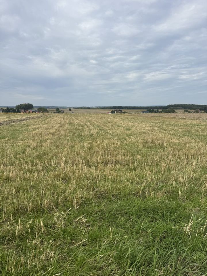 Działka rolno-budowlana Skała, ul. Marianów. Zdjęcie 1