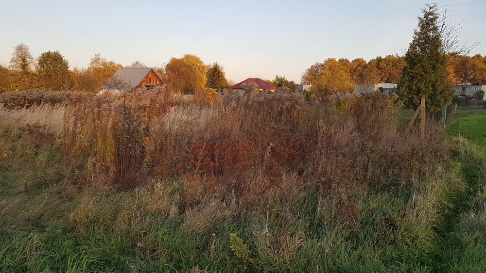 Działka rekreacyjna Gniechowice, ul. Kątecka. Zdjęcie 3