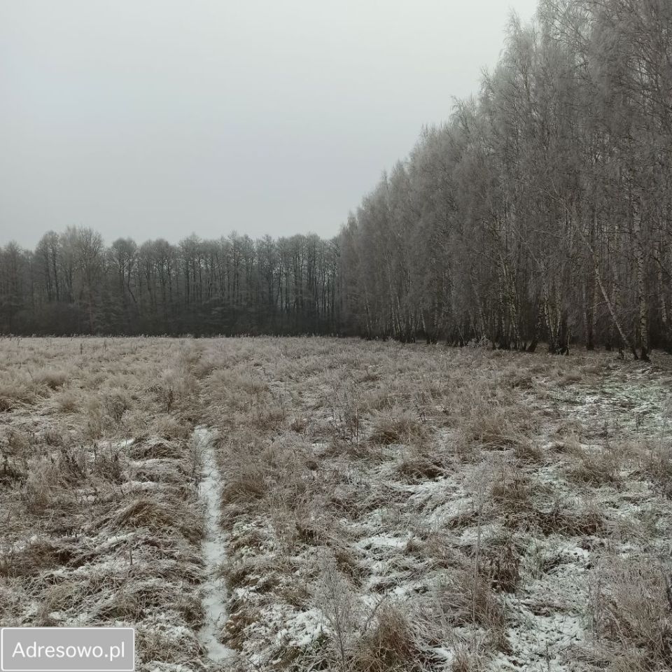 Działka rolna Żuków. Zdjęcie 9