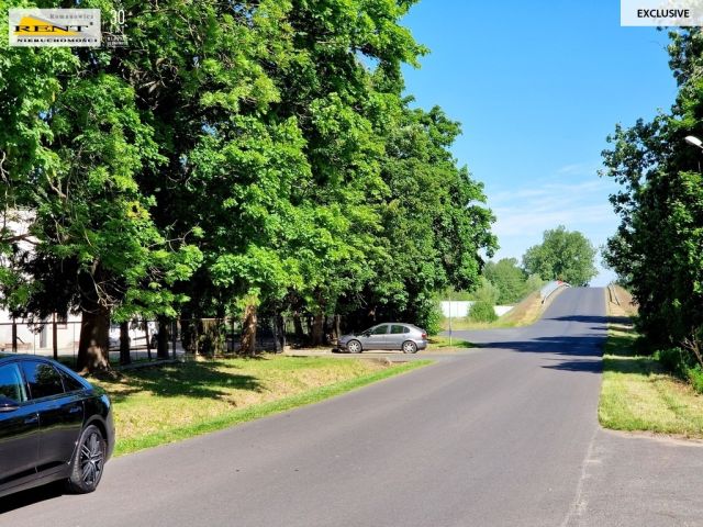 Działka rolna Kobylanka. Zdjęcie 7