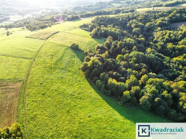 Działka rolna Lutcza. Zdjęcie 8