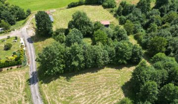 Lokal Gaj Brzyczyna, ul. Spadzista