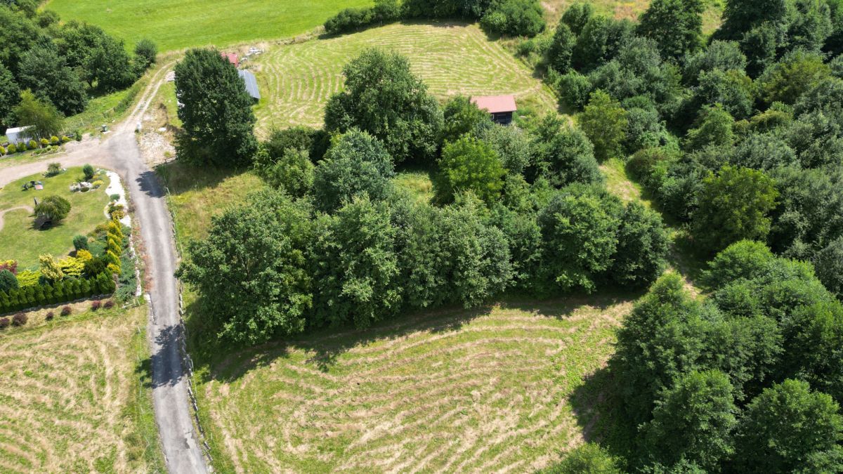 Lokal Gaj Brzyczyna, ul. Spadzista