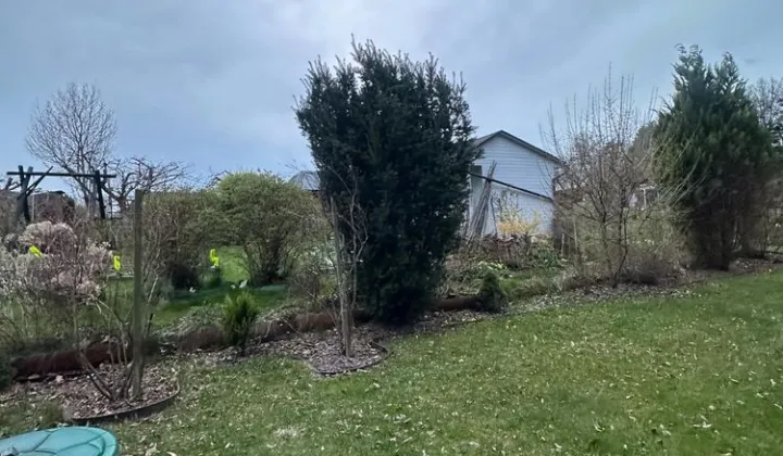 Działka rod Nowy Sącz Falkowa