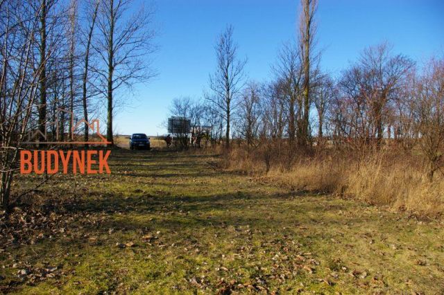 Działka inwestycyjna Cisowo. Zdjęcie 12
