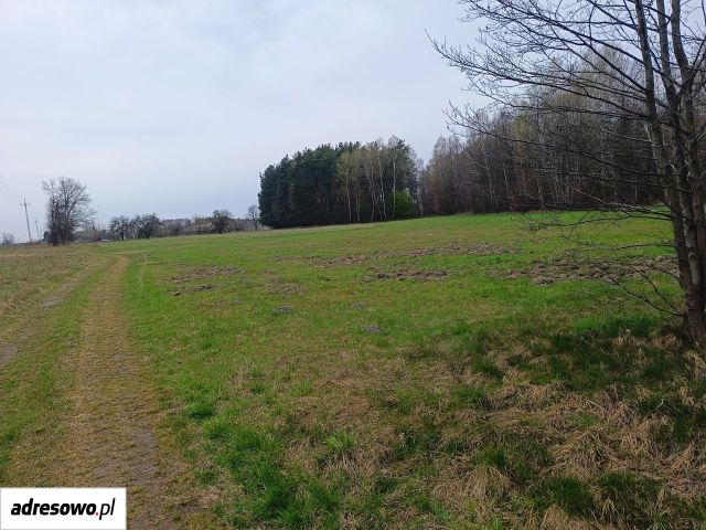 Działka budowlana Cegłów, ul. Wojciecha Oczko. Zdjęcie 1
