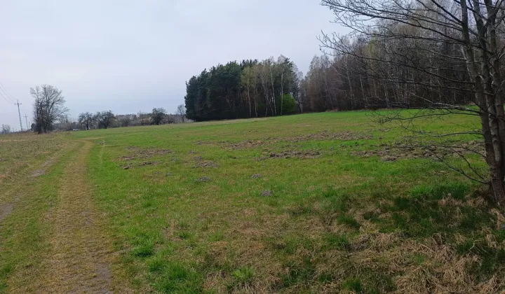 Działka budowlana Cegłów, ul. Wojciecha Oczko
