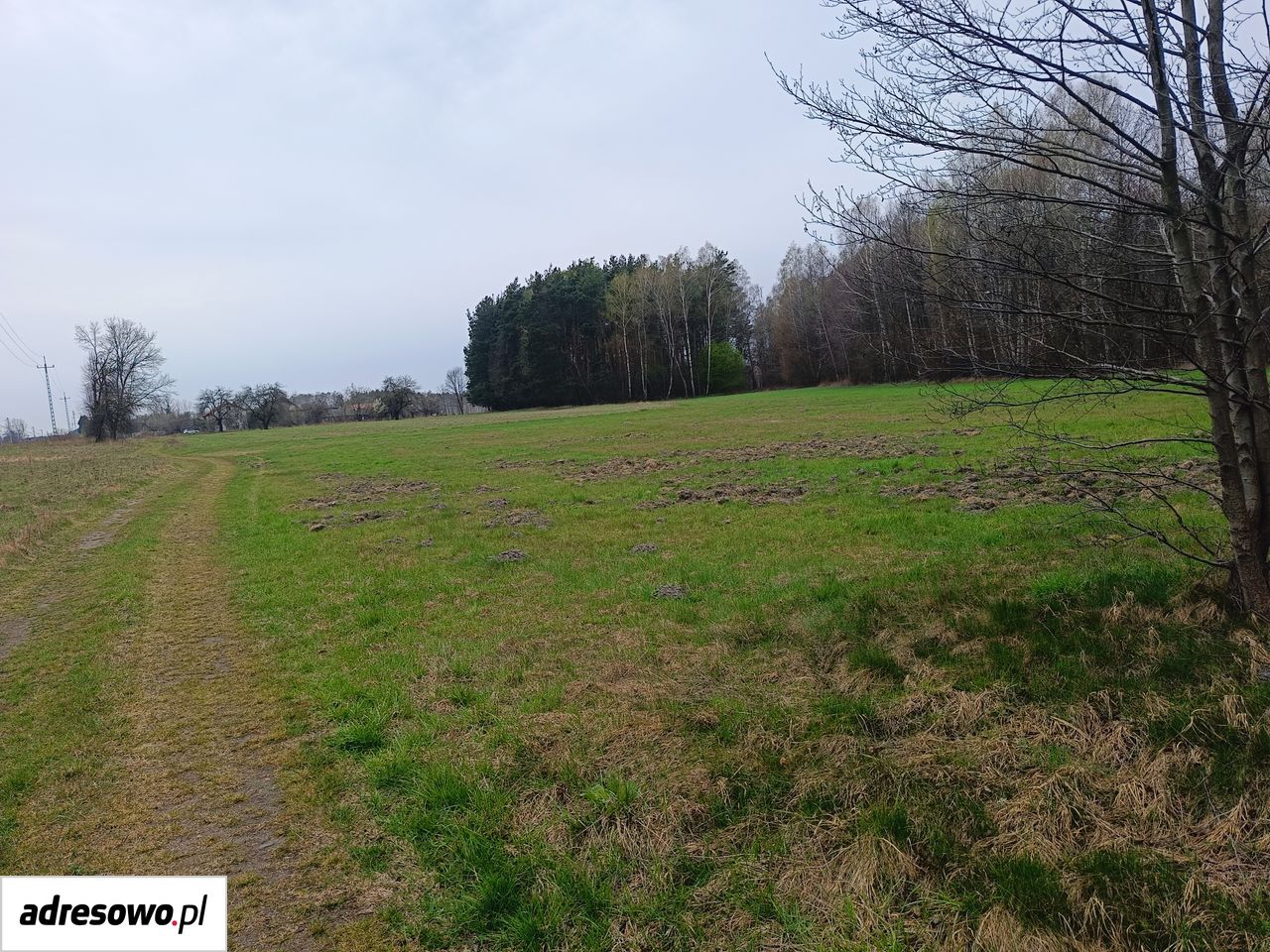 Działka budowlana Cegłów, ul. Wojciecha Oczko. Zdjęcie 1